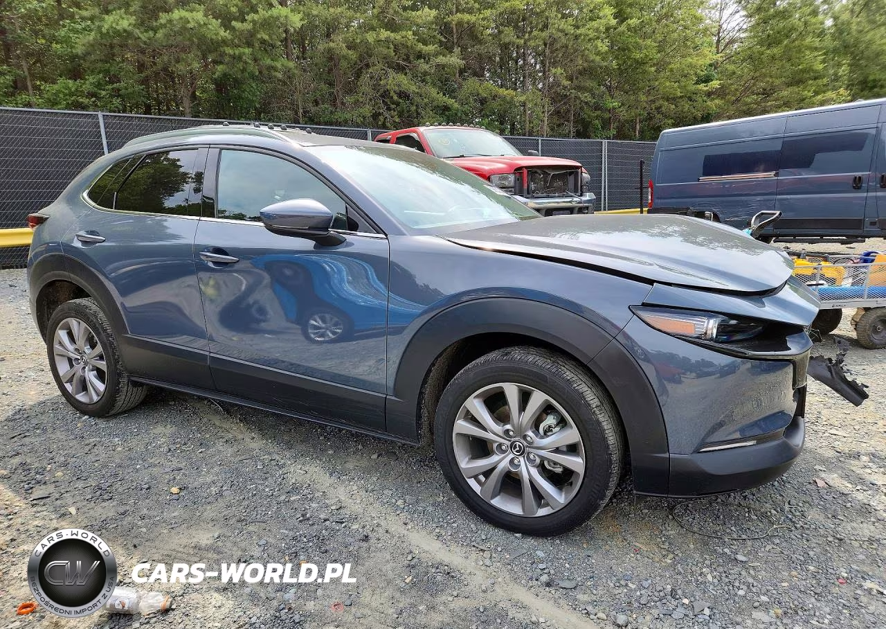 2021 Mazda Cx-30 Premium VIN:3MVDMBDL6MM270289 - 4