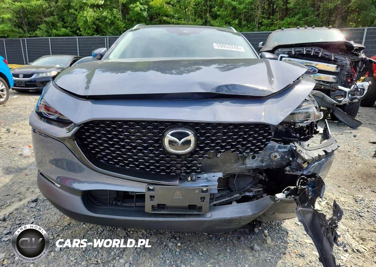 2021 Mazda Cx-30 Premium VIN:3MVDMBDL6MM270289 - 5