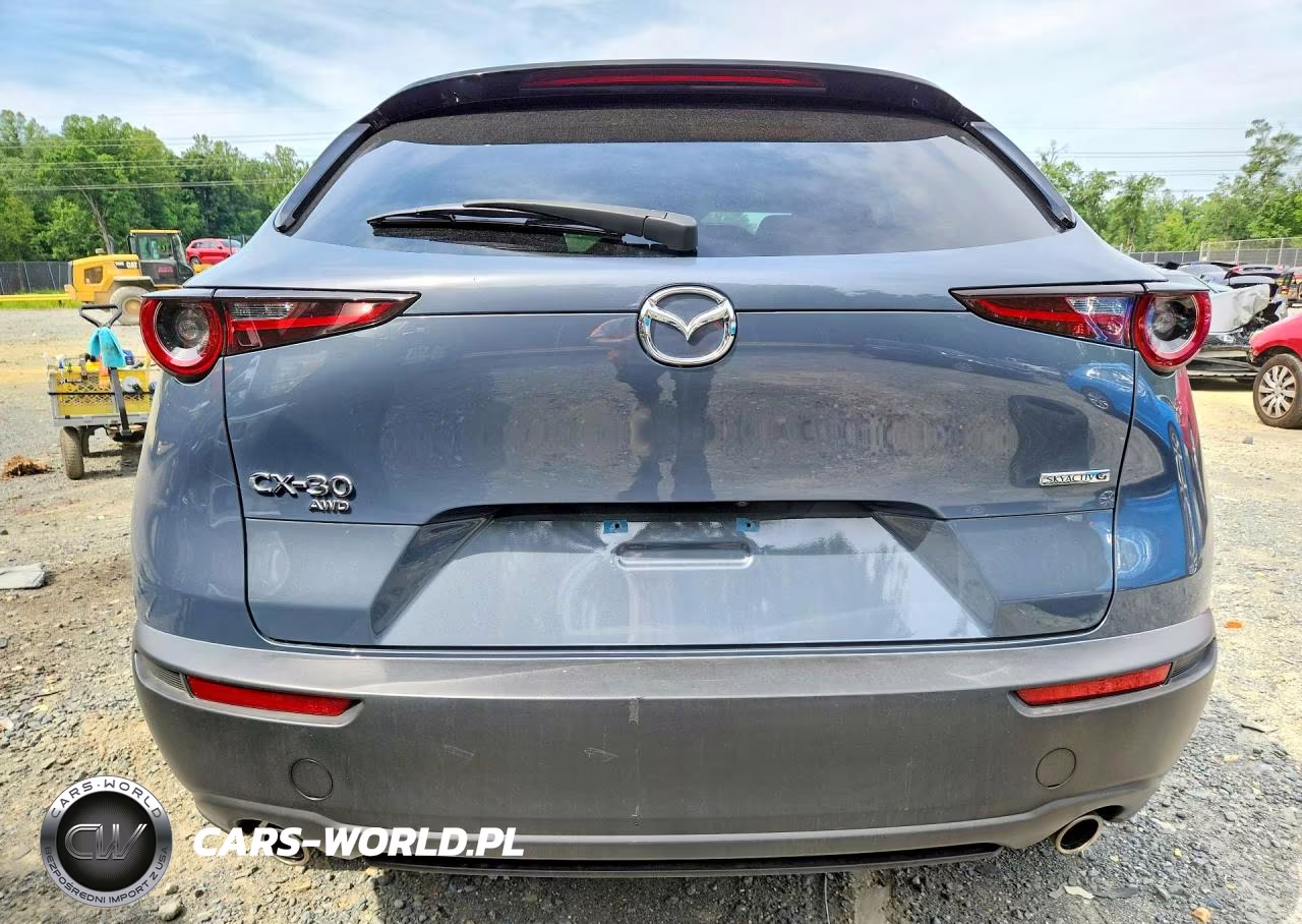 2021 Mazda Cx-30 Premium VIN:3MVDMBDL6MM270289 - 6