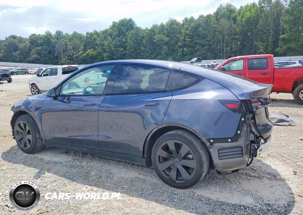 2022 Tesla Model Y VIN:7SAYGAEEXNF422300 - 2