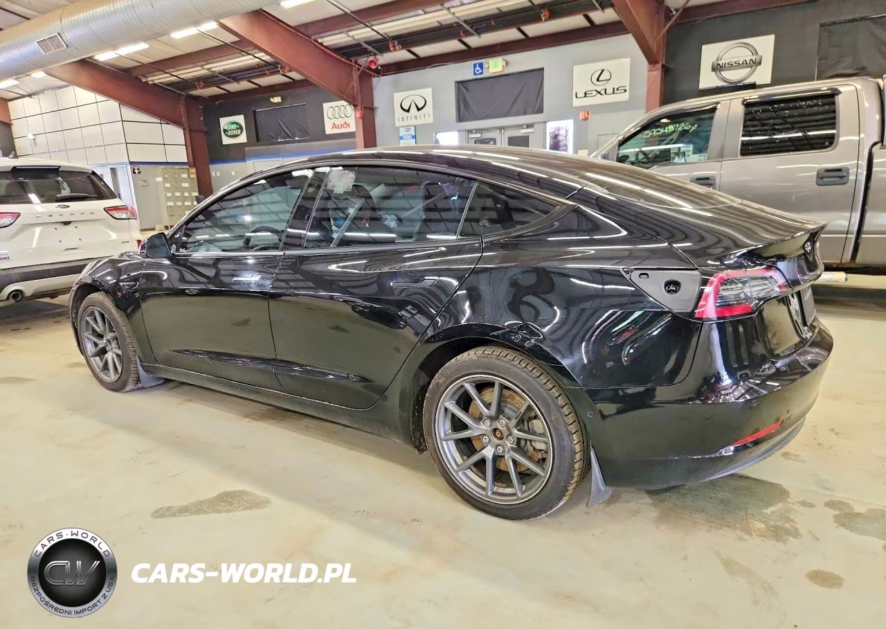 2022 Tesla Model 3 VIN:5YJ3E1EB8NF120491 - 2