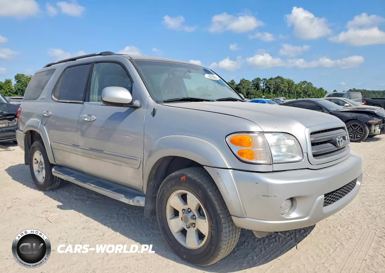 2002 Toyota Sequoia Sr5 VIN:5TDBT44A72S096123 - 4