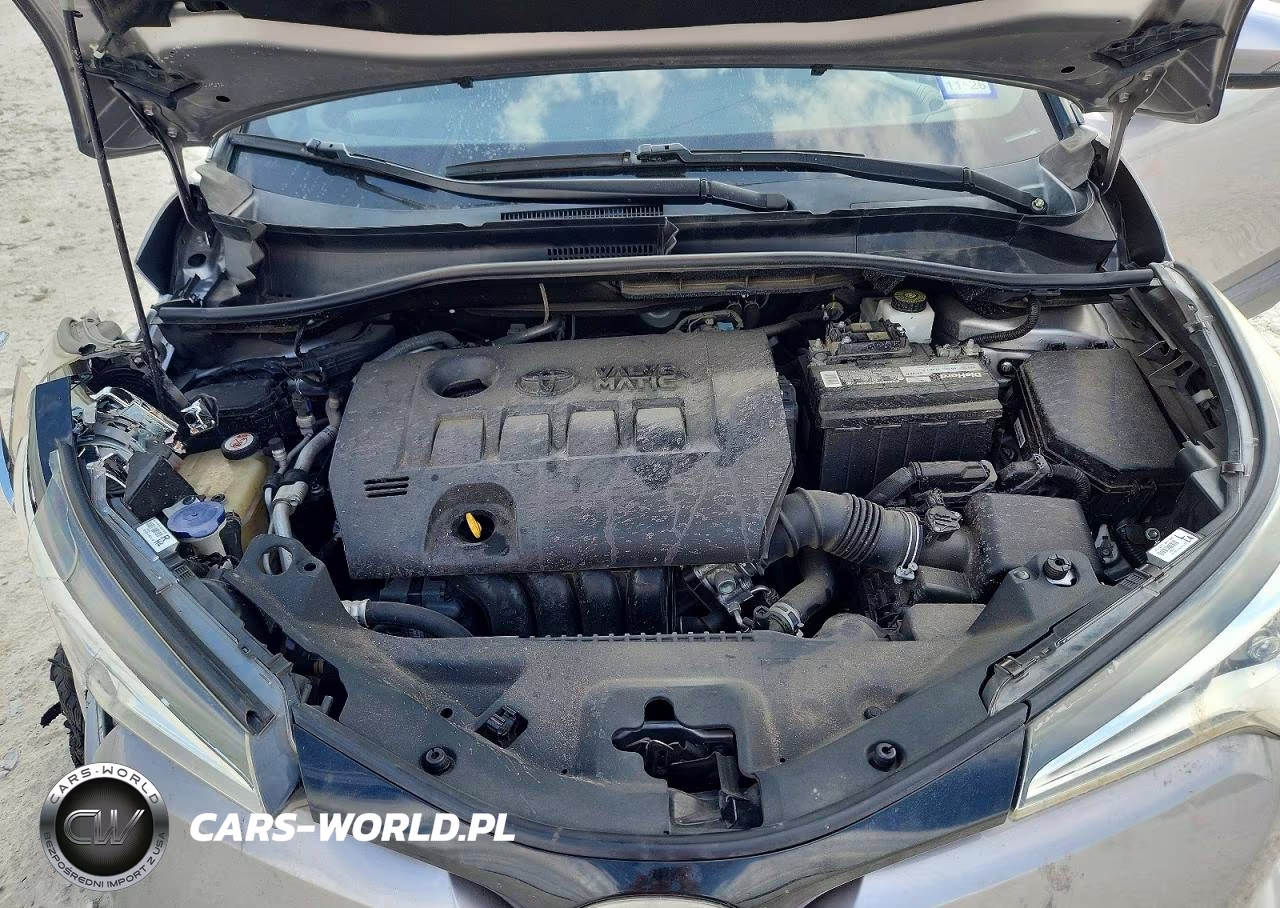 2019 Toyota C-Hr Xle VIN:NMTKHMBX1KR078949 - 11