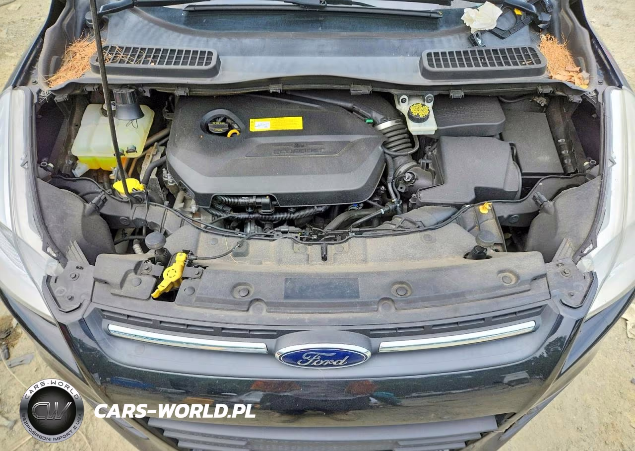 2015 Ford Escape Se VIN:1FMCU9GX8FUA97616 - 12