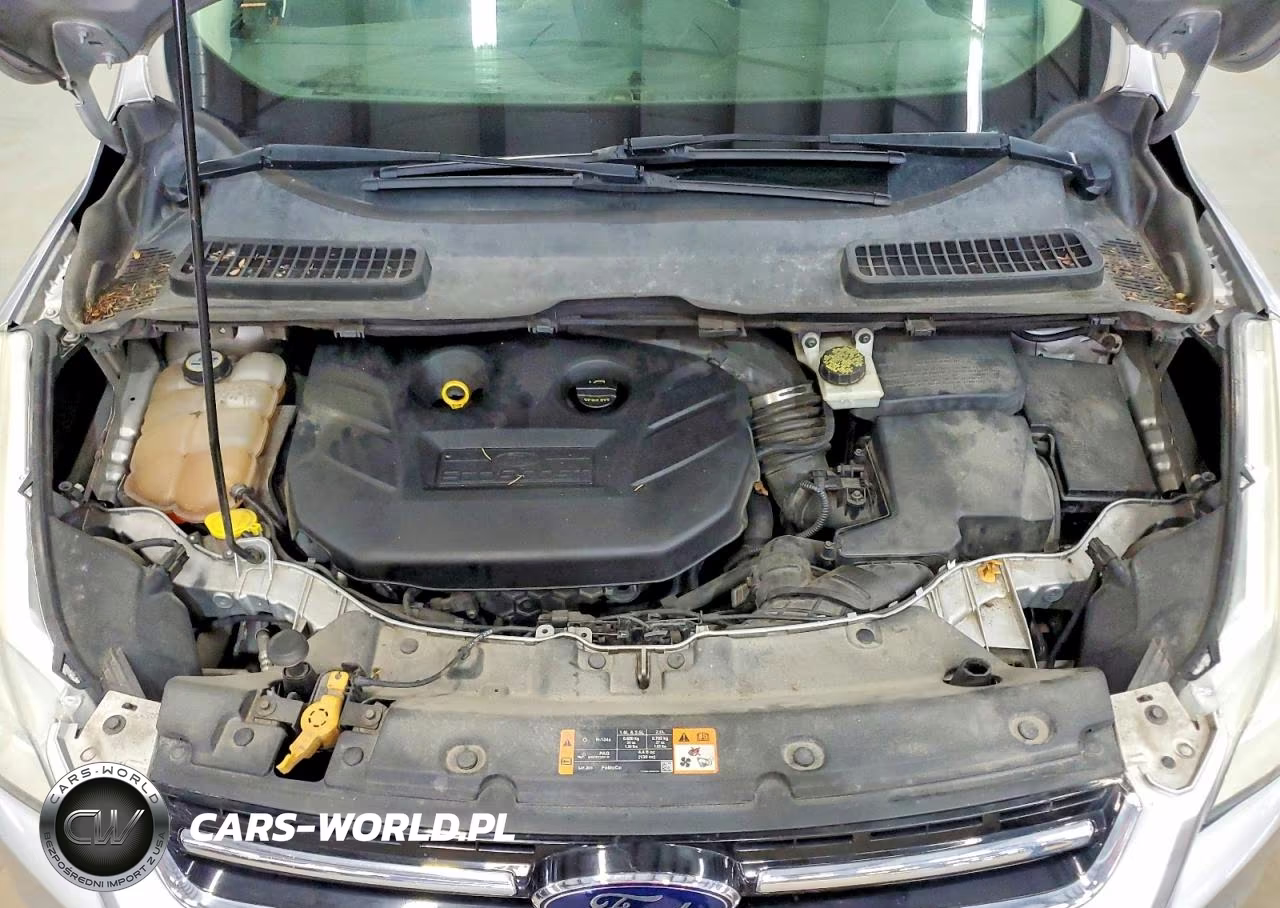 2013 Ford Escape Sel VIN:1FMCU9H94DUC75745 - 12