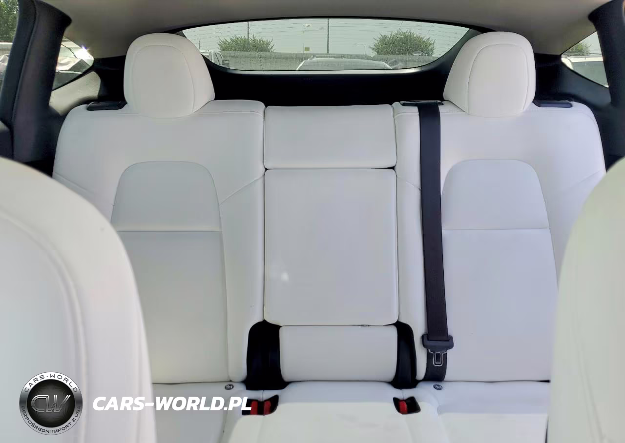 2023 Tesla Model Y VIN:7SAYGDEF2PF749870 - 10