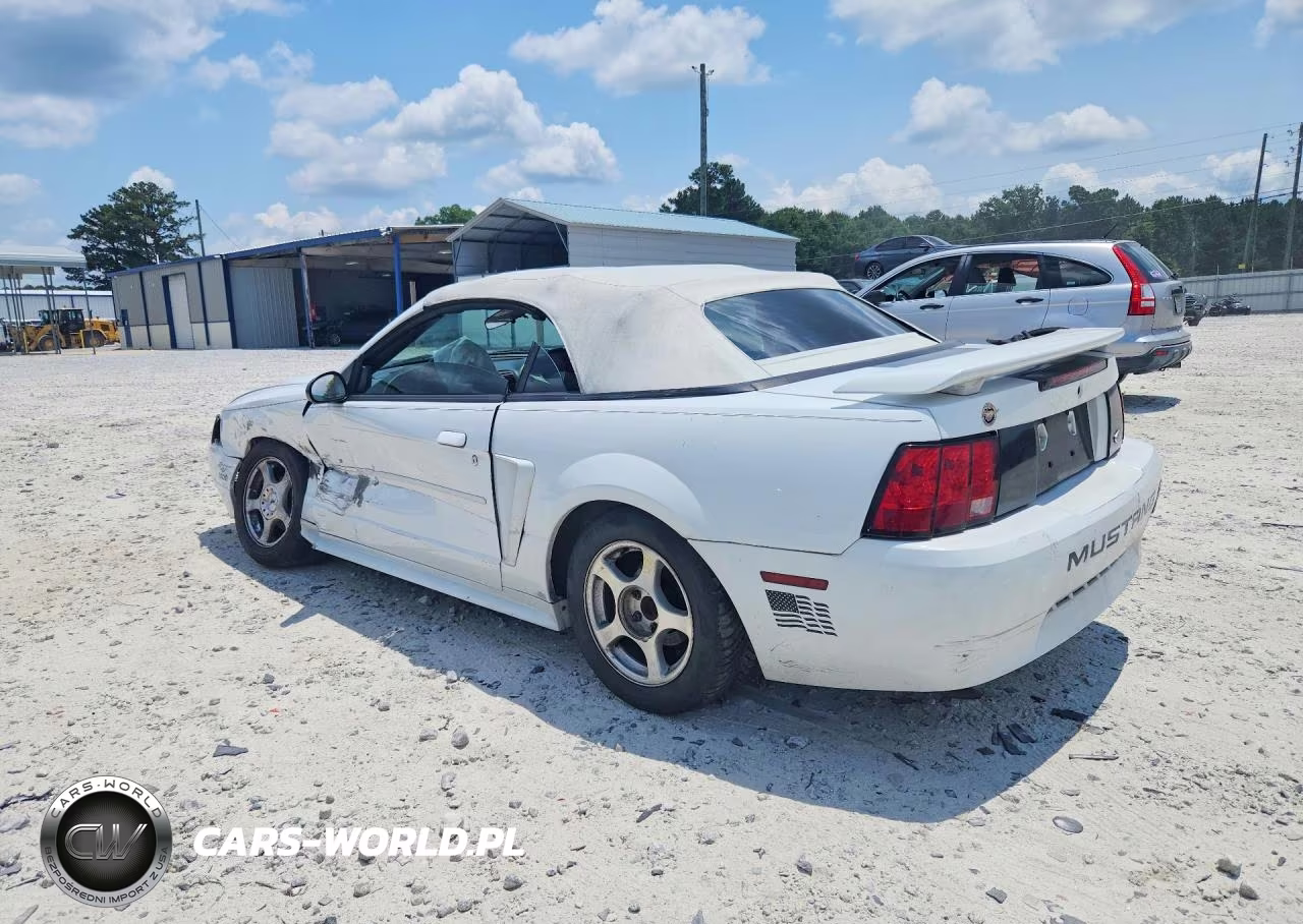 2004 Ford Mustang VIN:1FAFP44694F146871 - 2