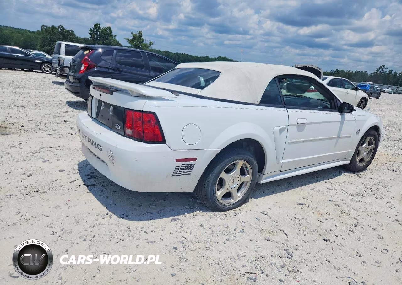 2004 Ford Mustang VIN:1FAFP44694F146871 - 3