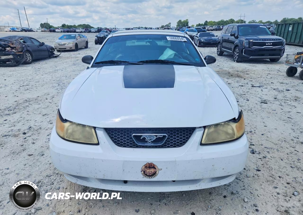 2004 Ford Mustang VIN:1FAFP44694F146871 - 5