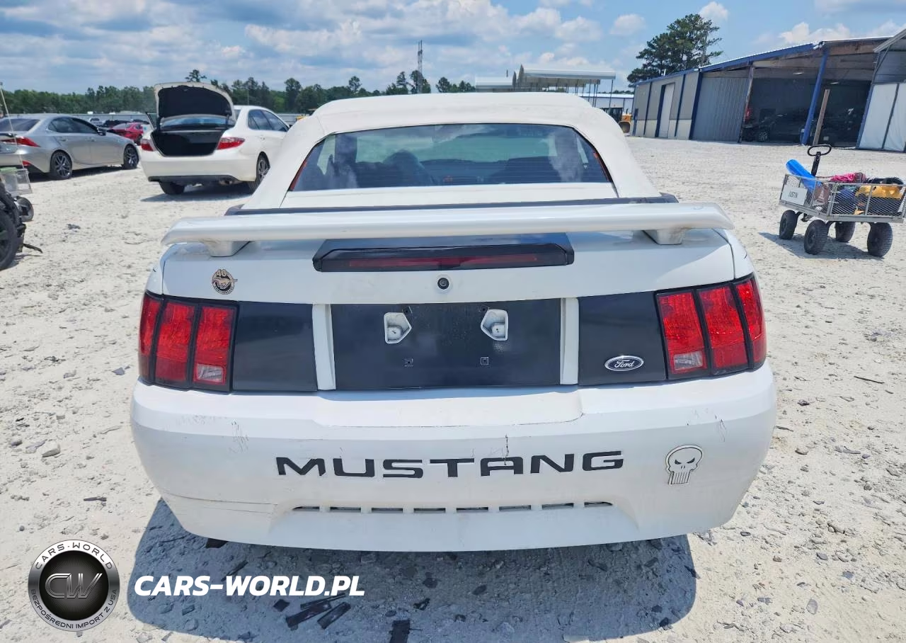 2004 Ford Mustang VIN:1FAFP44694F146871 - 6