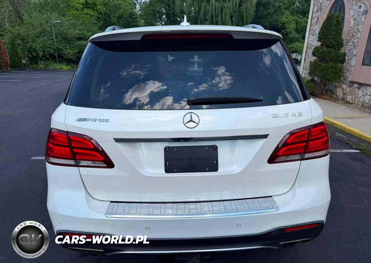 2019 Mercedes-Benz Gle 43 Amg VIN:4JGDA6EB4KB203861 - 6