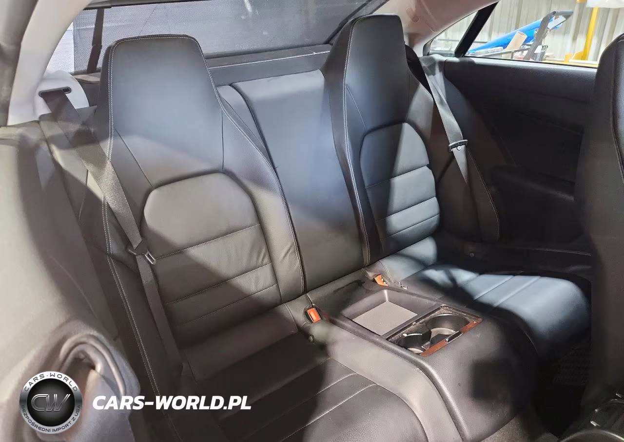 2010 Mercedes-Benz E 550 VIN:WDDKJ7CB1AF020127 - 10