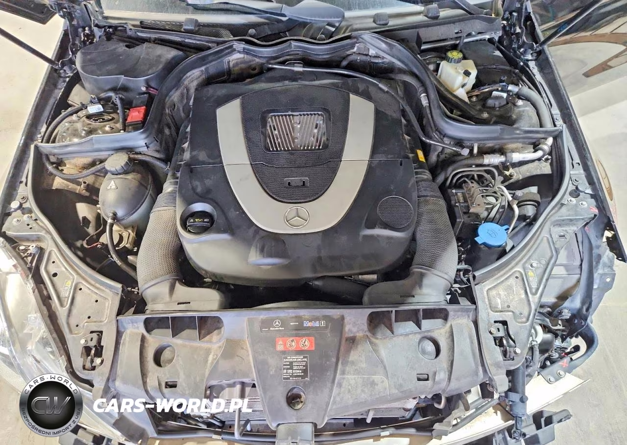 2010 Mercedes-Benz E 550 VIN:WDDKJ7CB1AF020127 - 11