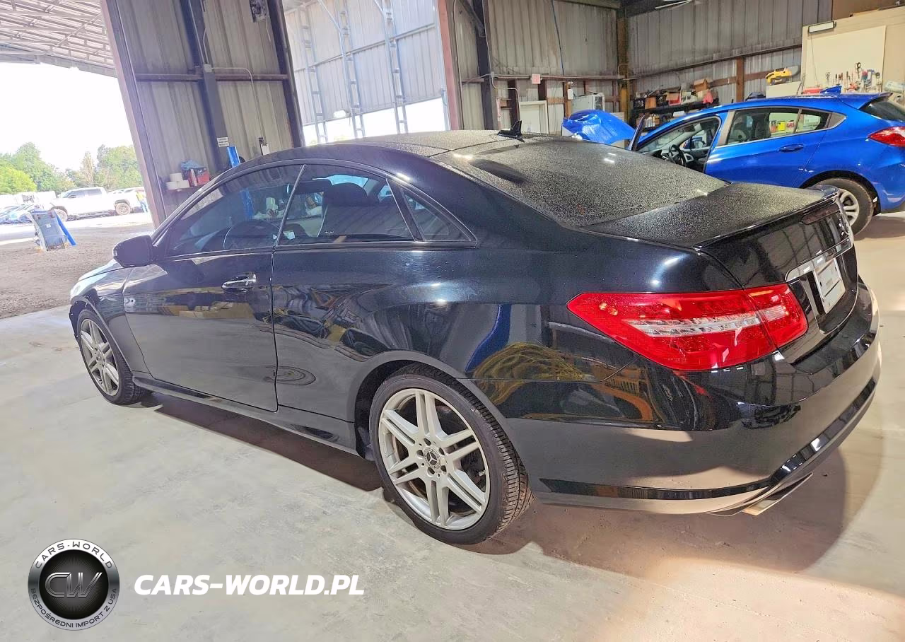 2010 Mercedes-Benz E 550 VIN:WDDKJ7CB1AF020127 - 2