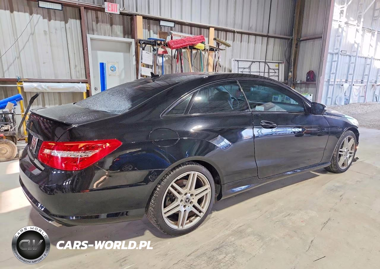 2010 Mercedes-Benz E 550 VIN:WDDKJ7CB1AF020127 - 3