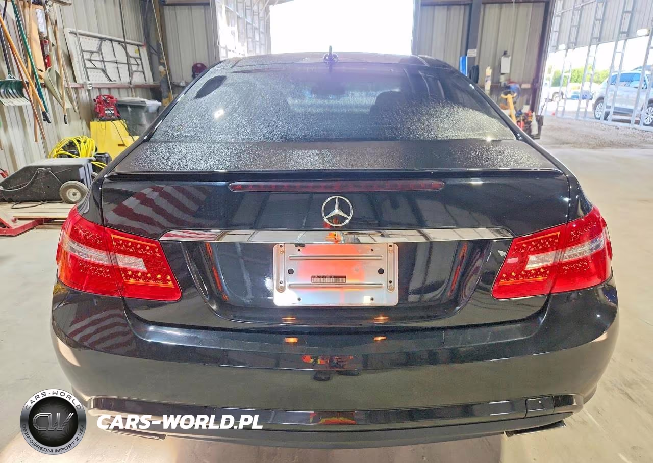 2010 Mercedes-Benz E 550 VIN:WDDKJ7CB1AF020127 - 6