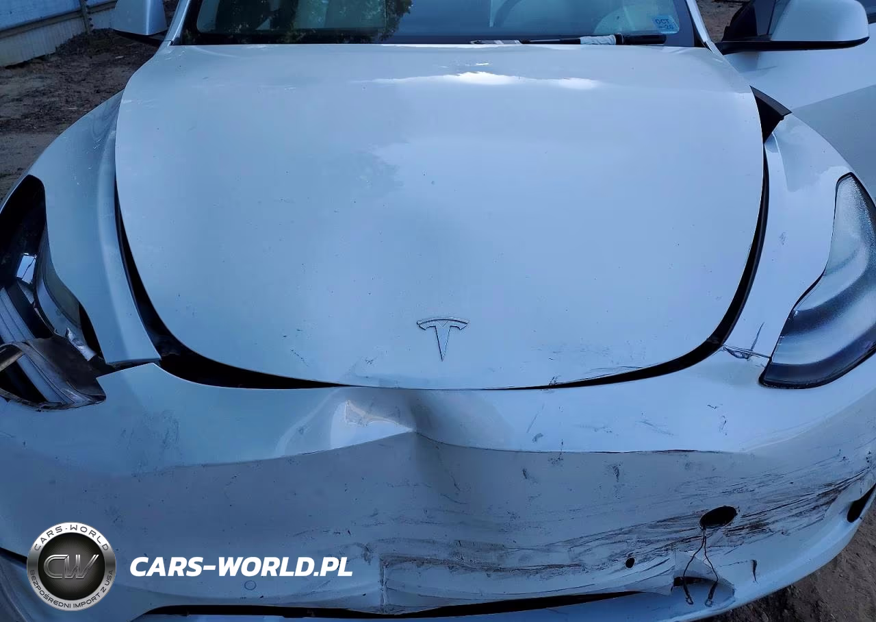 2020 Tesla Model Y VIN:5YJYGDEE2LF046140 - 11