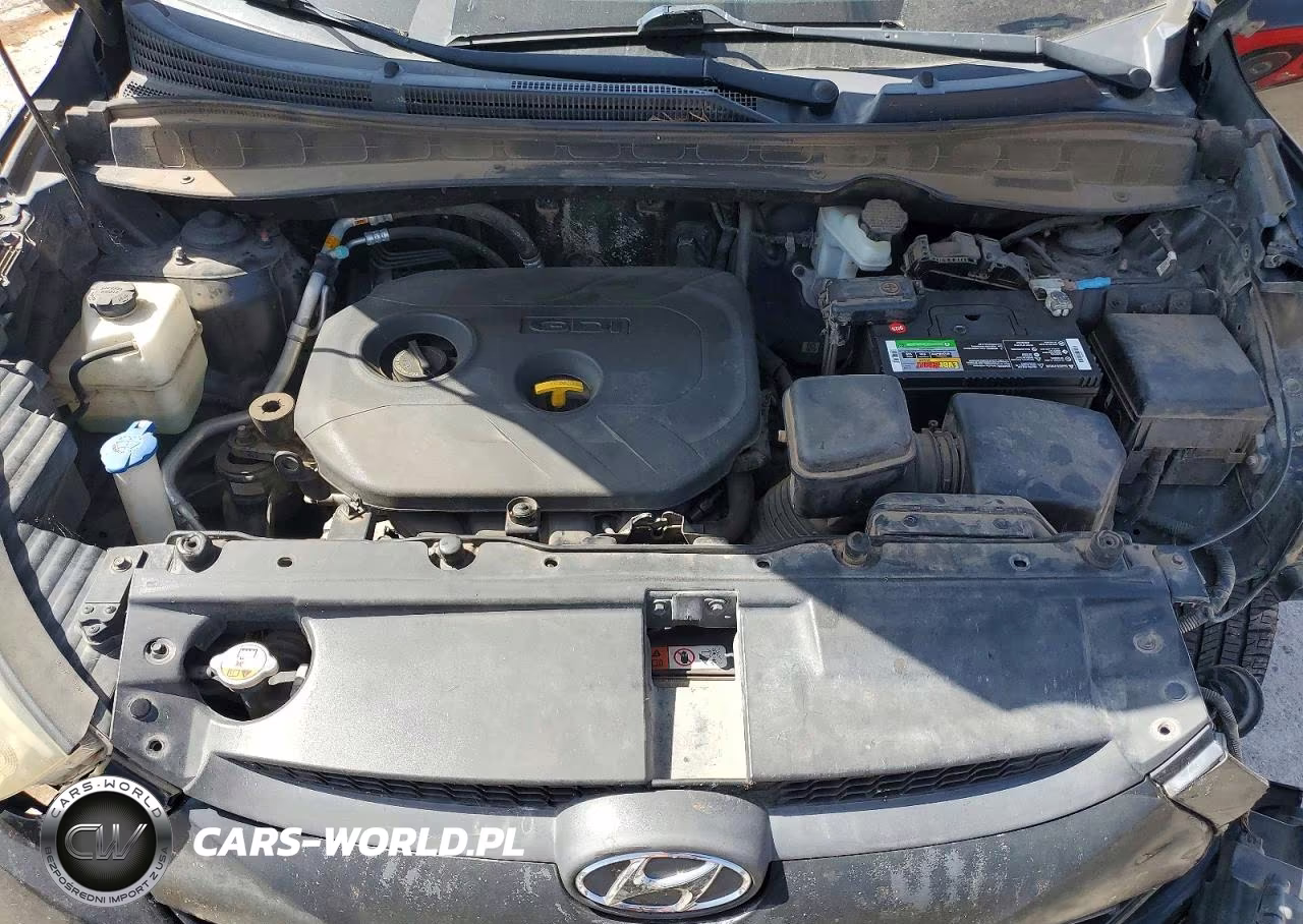 2015 Hyundai Tucson Gls VIN:KM8JT3AF9FU099351 - 12