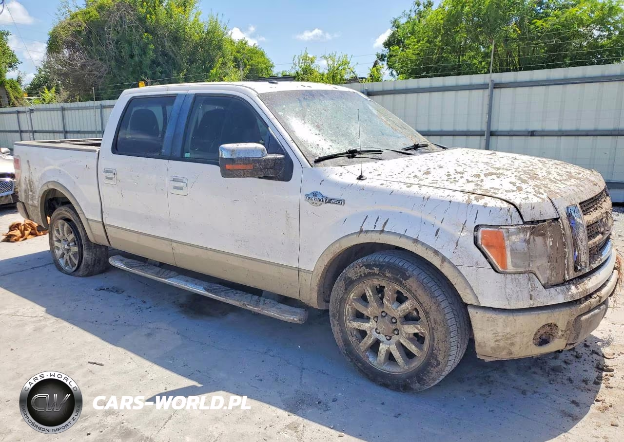 2010 Ford F150 Supercrew VIN:1FTFW1CV0AKB33188 - 4