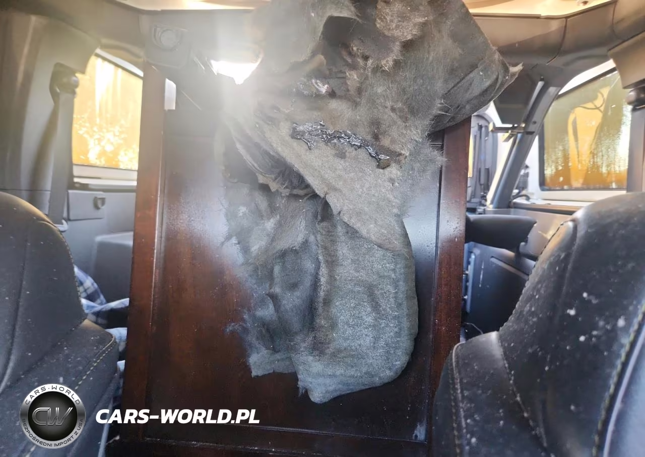 2025 Ford Bronco Badlands VIN:1FMEE9BPXSLA61245 - 10