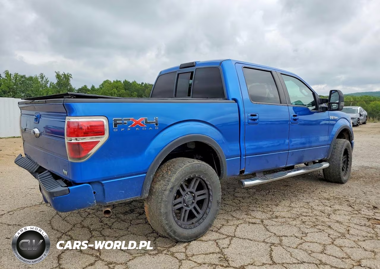2010 Ford F150 Supercrew VIN:1FTFW1EV2AKA14345 - 3