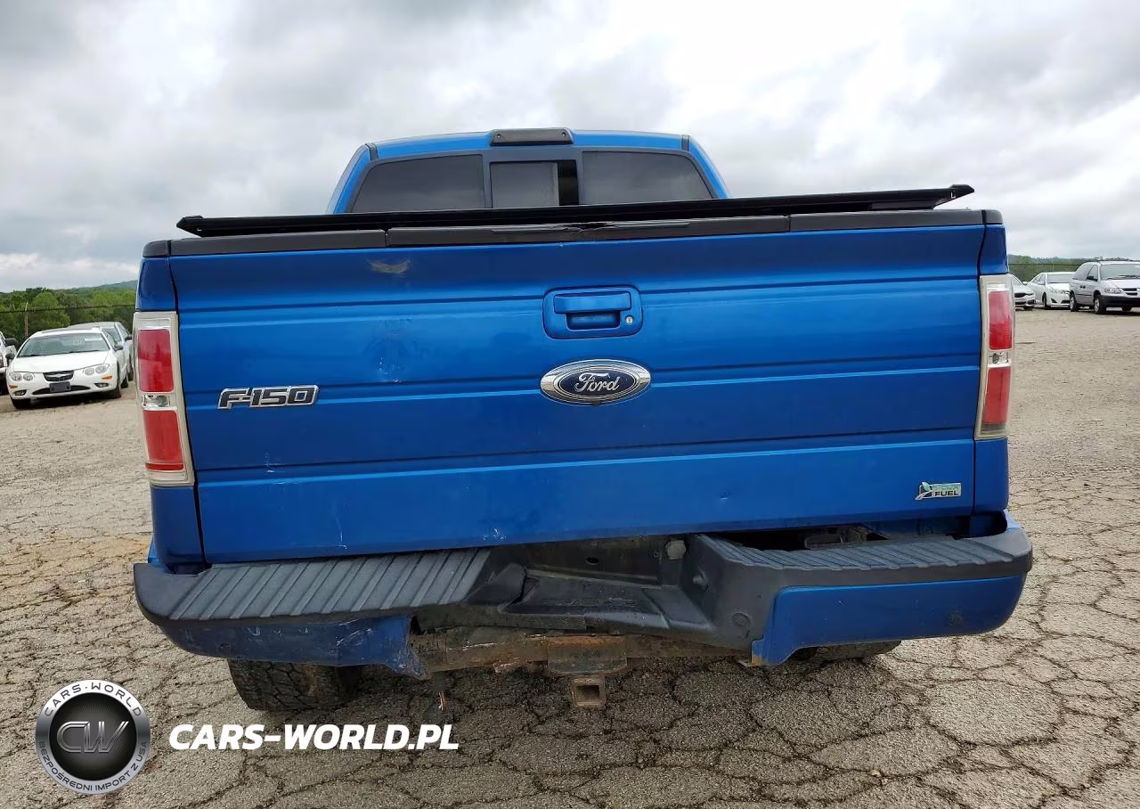 2010 Ford F150 Supercrew VIN:1FTFW1EV2AKA14345 - 6