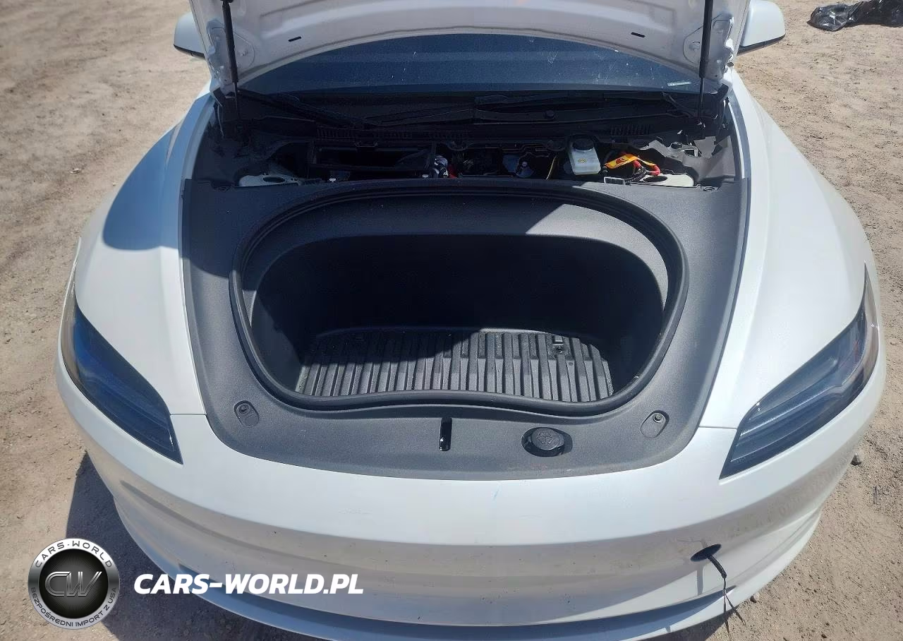 2025 Tesla Model 3 VIN:5YJ3E1EA1SF936316 - 11
