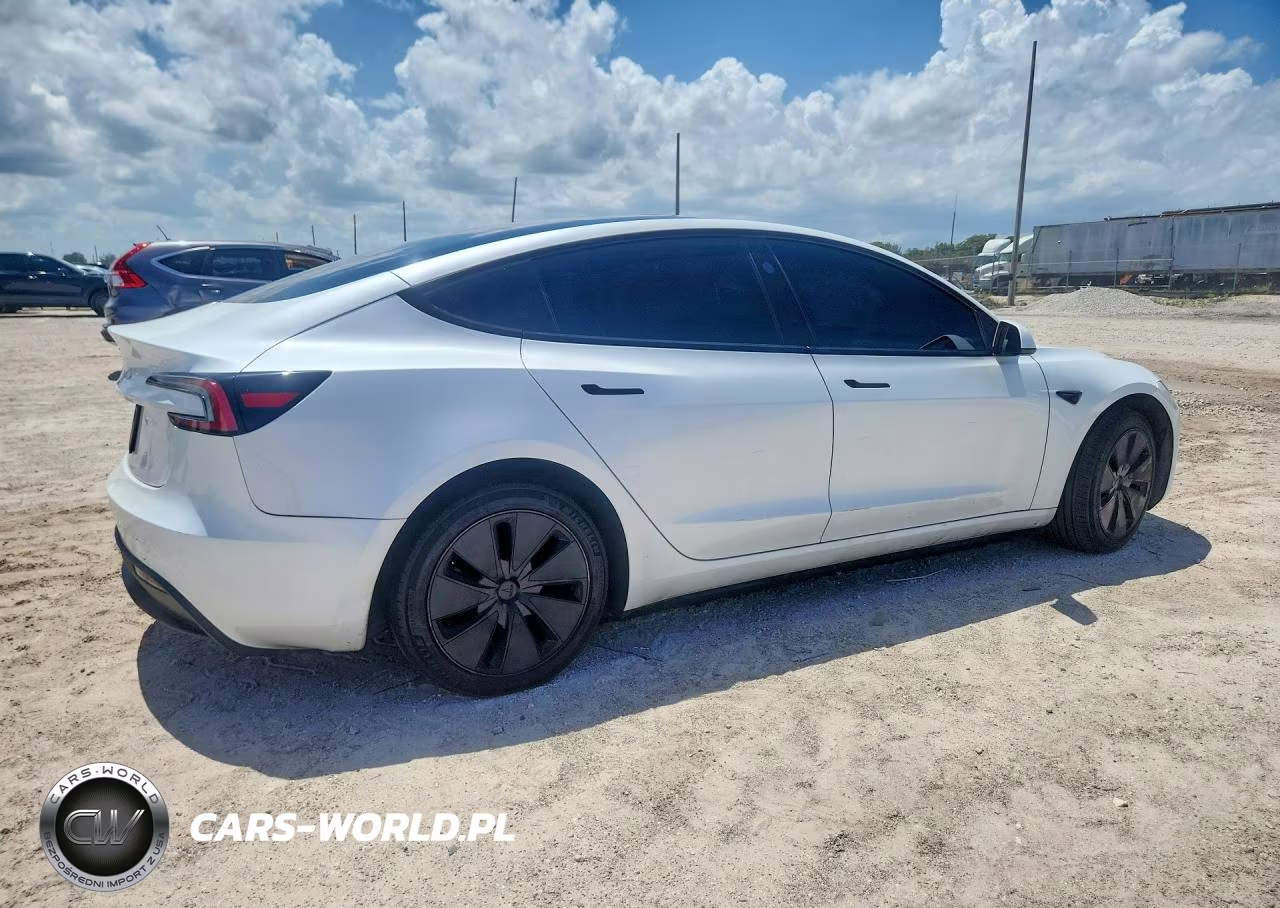 2025 Tesla Model 3 VIN:5YJ3E1EA1SF936316 - 3