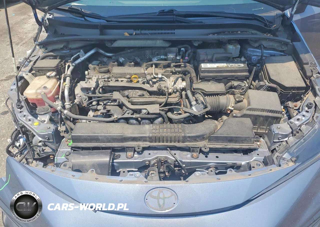 2020 Toyota Corolla Se VIN:JTDP4RCE4LJ044290 - 11