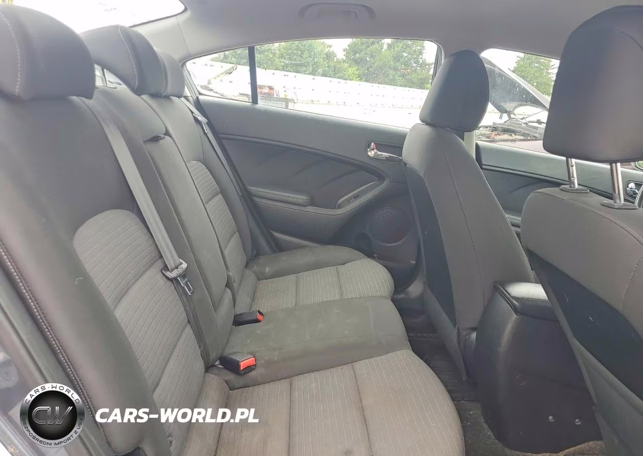 2014 Kia Forte Lx VIN:KNAFX4A67E5225667 - 10