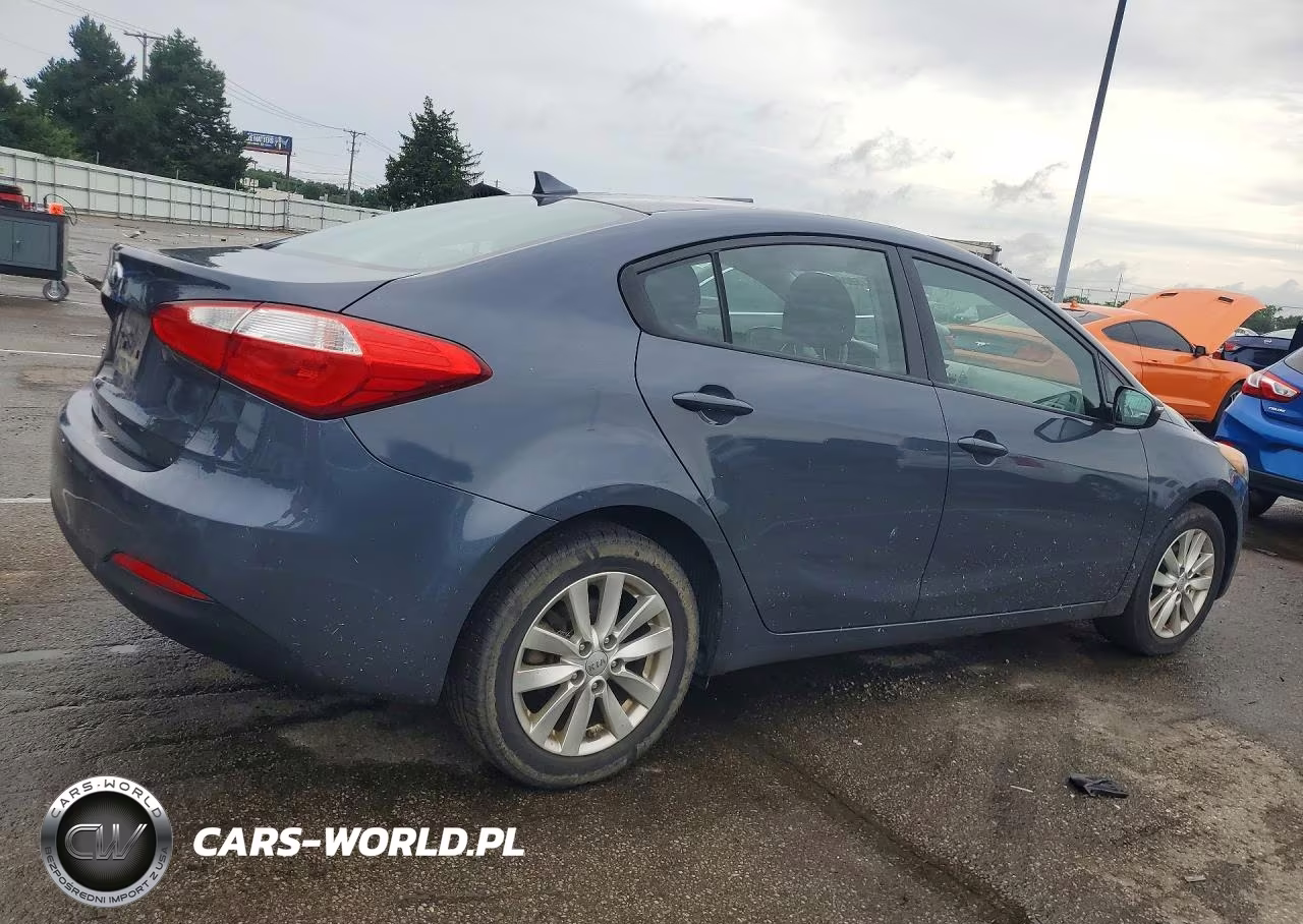 2014 Kia Forte Lx VIN:KNAFX4A67E5225667 - 3