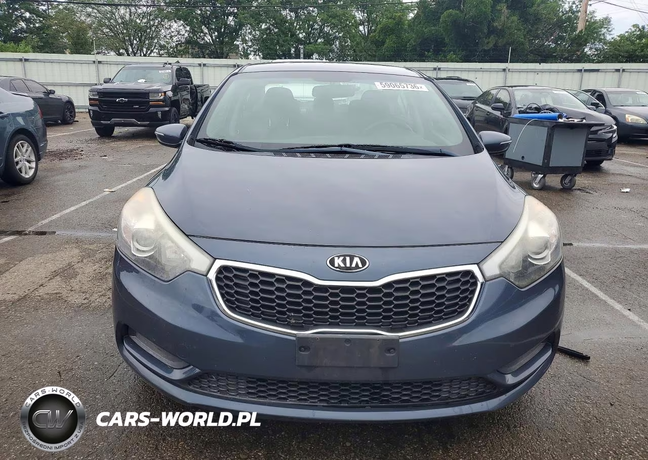 2014 Kia Forte Lx VIN:KNAFX4A67E5225667 - 5