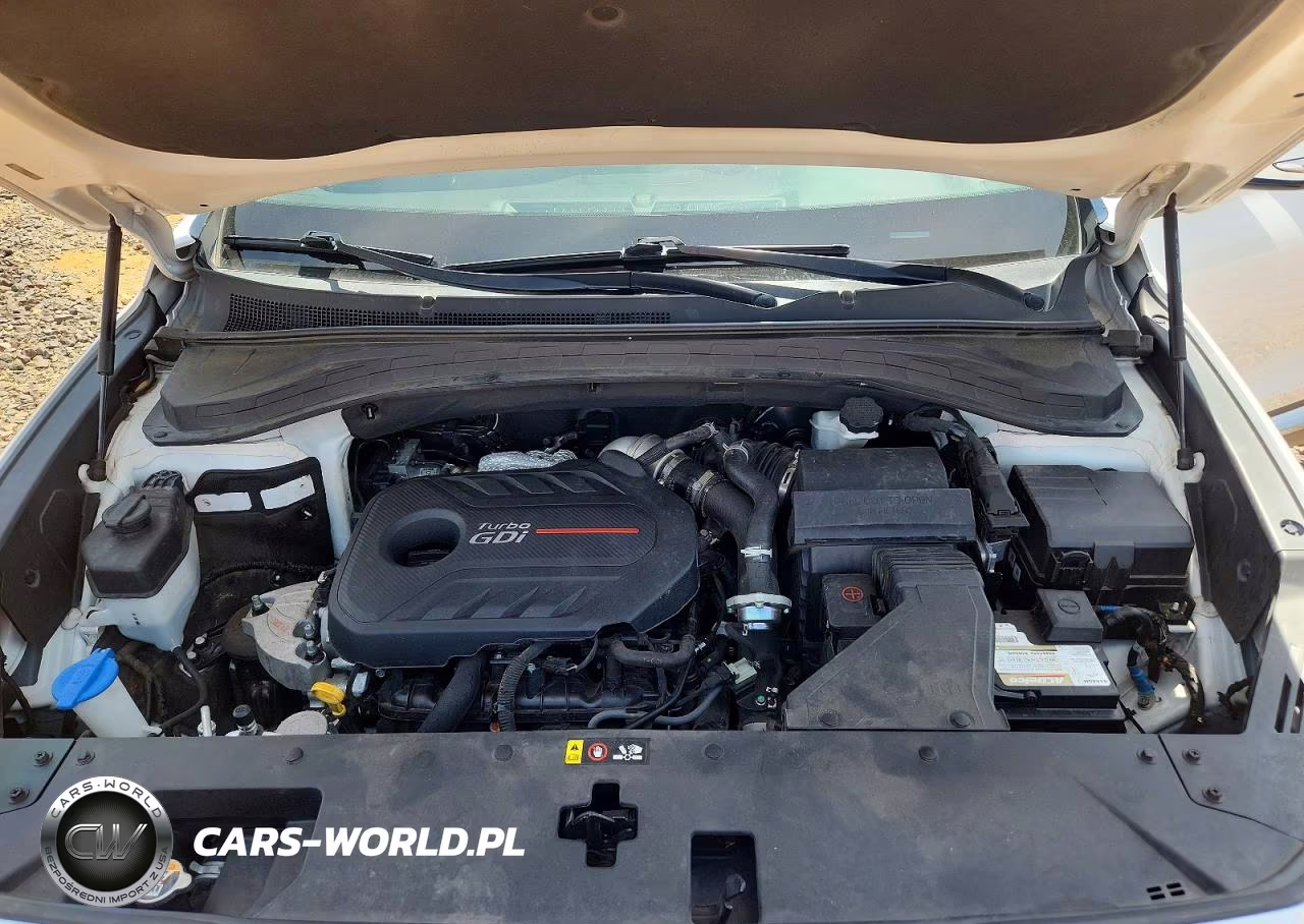 2020 Hyundai Santa Fe Sel 2.0T VIN:5NMS3CAA5LH284755 - 12