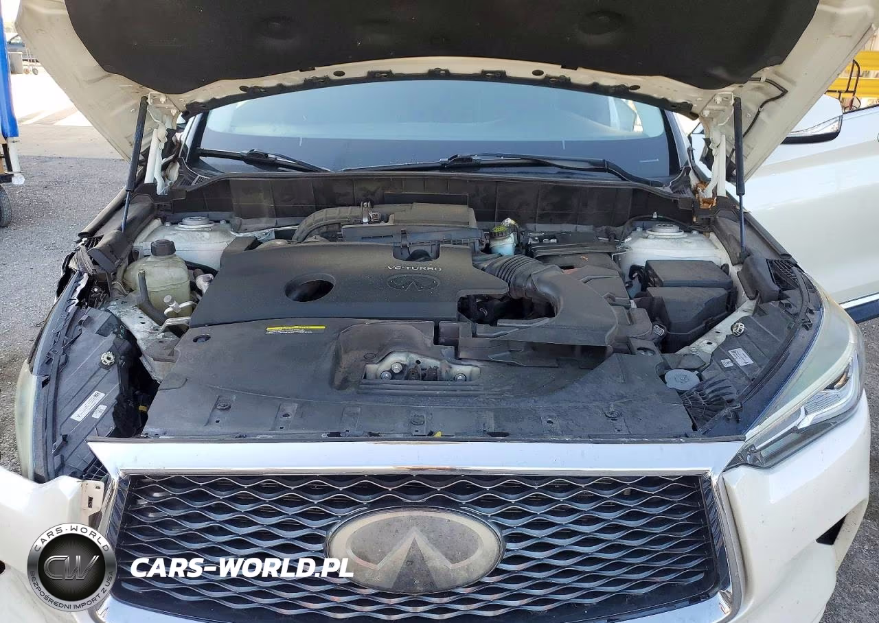 2019 Infiniti Qx50 Luxe VIN:3PCAJ5M11KF139334 - 12
