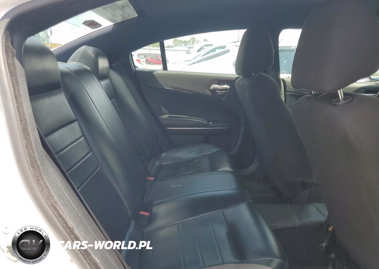 2015 Dodge Charger Police VIN:2C3CDXAGXFH741447 - 10