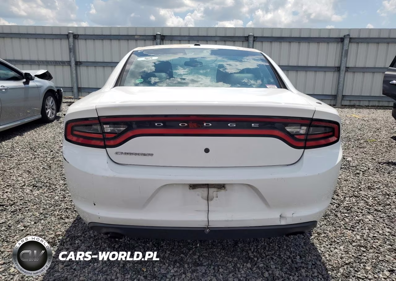 2015 Dodge Charger Police VIN:2C3CDXAGXFH741447 - 6