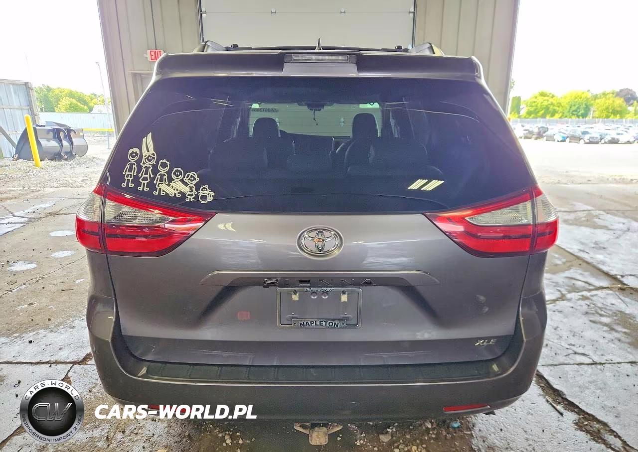 2019 Toyota Sienna Xle 8-Passenger VIN:5TDYZ3DC8KS984139 - 6