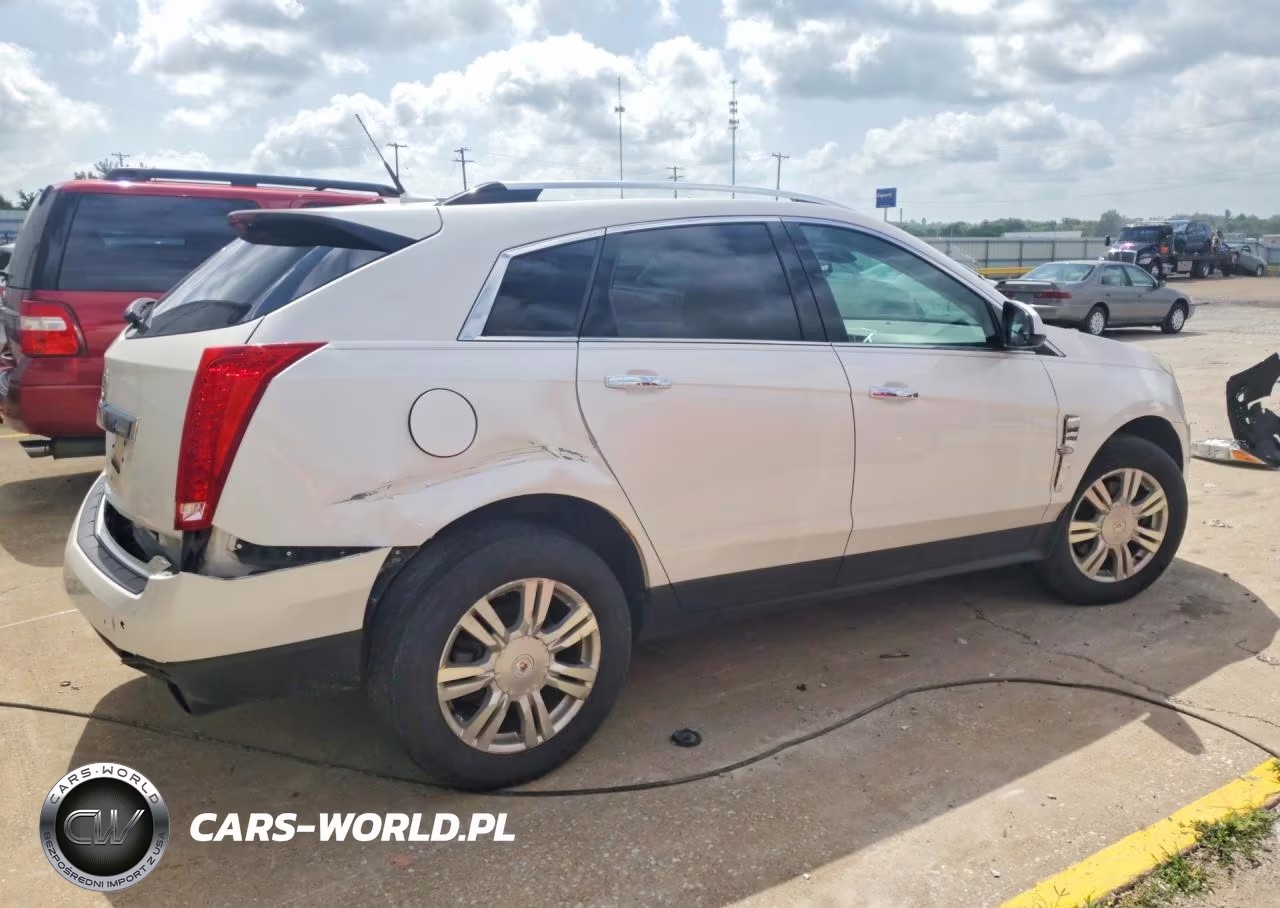2010 Cadillac Srx Luxury Collection VIN:3GYFNDEY2AS557160 - 3