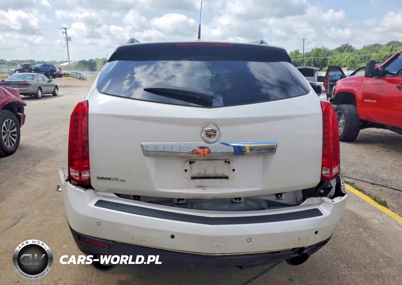 2010 Cadillac Srx Luxury Collection VIN:3GYFNDEY2AS557160 - 6