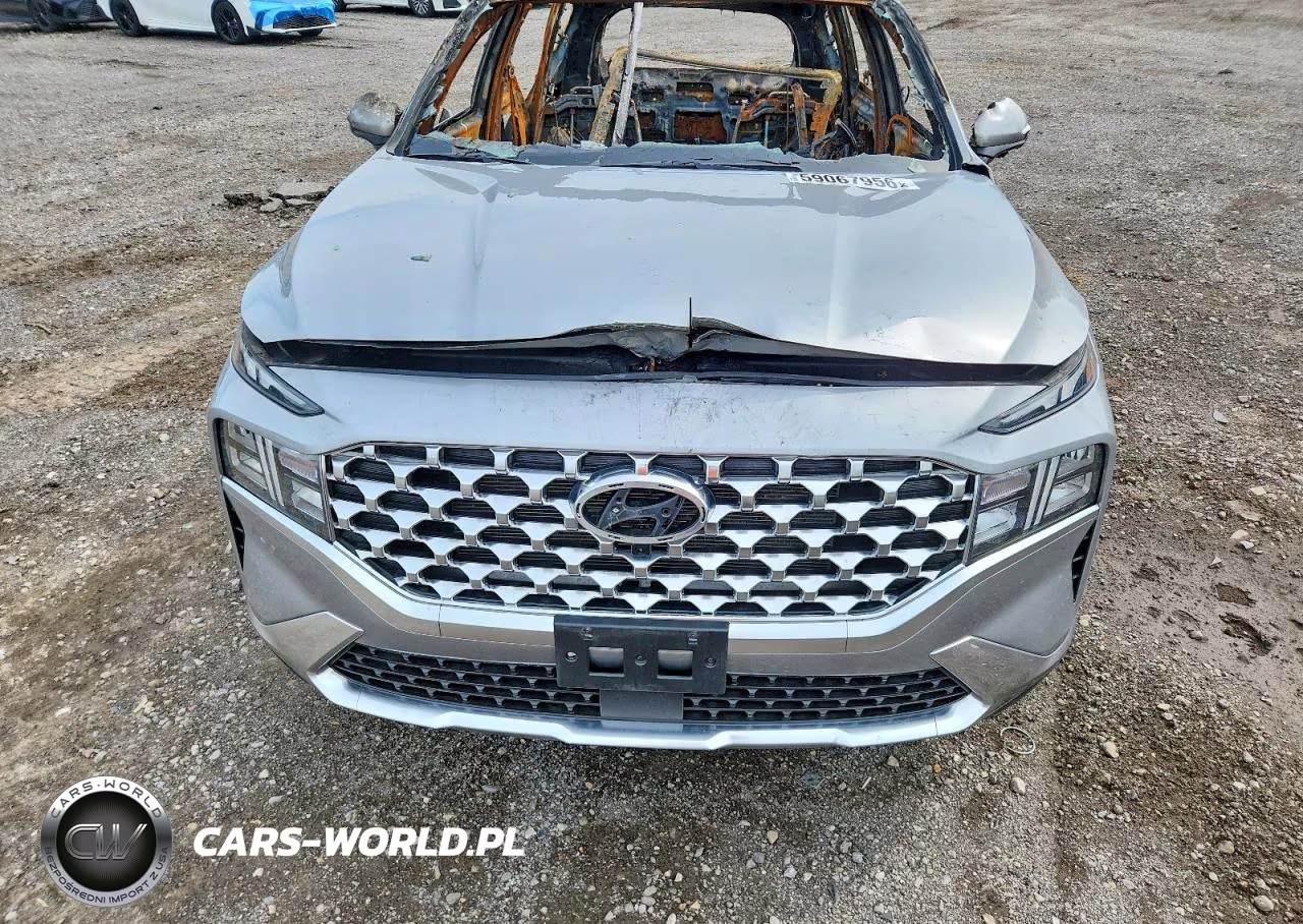 2023 Hyundai Santa Fe Sel Premium VIN:5NMS3DAJ6PH608517 - 11