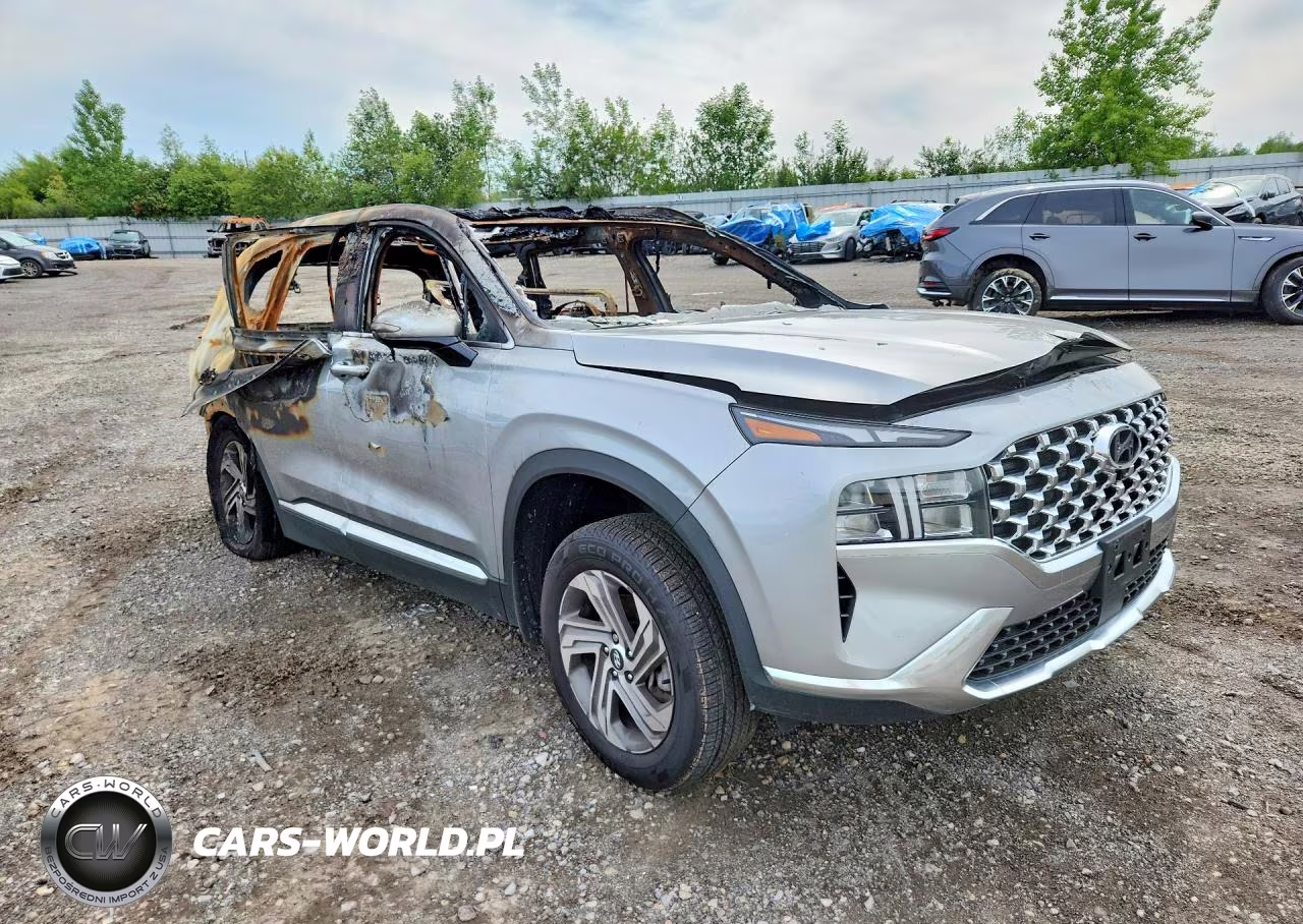 2023 Hyundai Santa Fe Sel Premium VIN:5NMS3DAJ6PH608517 - 4