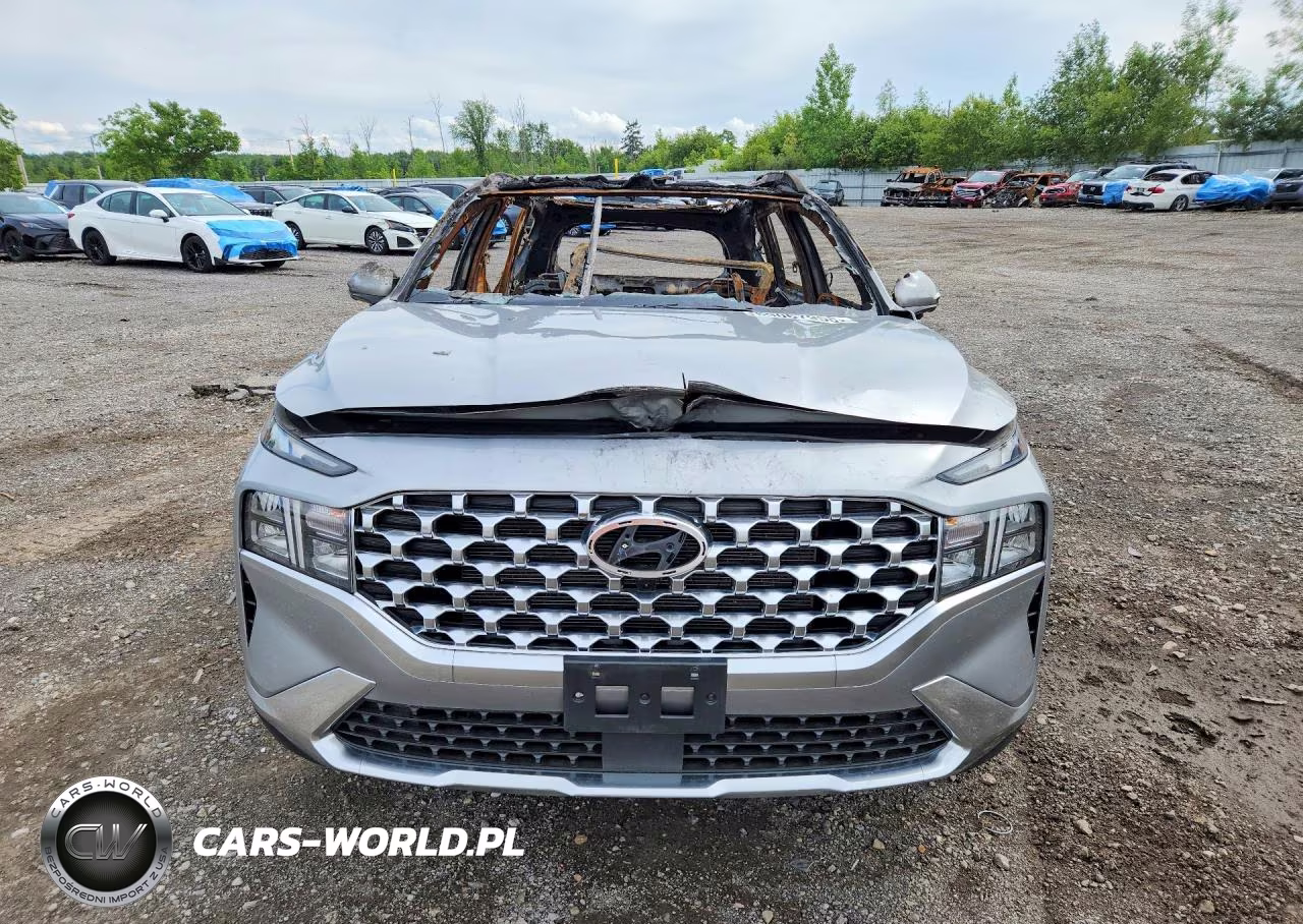 2023 Hyundai Santa Fe Sel Premium VIN:5NMS3DAJ6PH608517 - 5