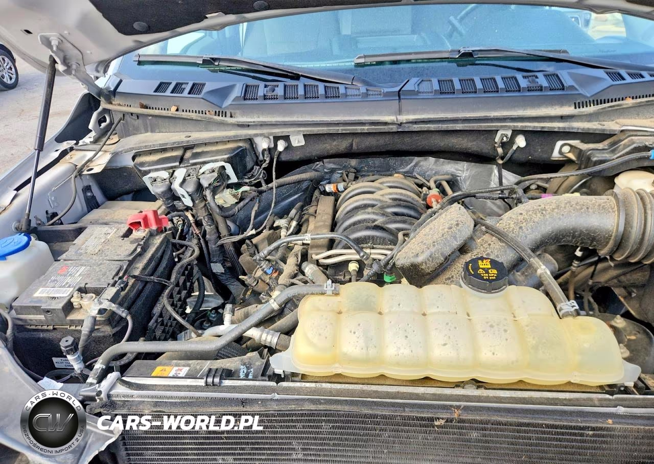 2019 Ford F150 Supercrew VIN:1FTEW1E55KFC96602 - 11
