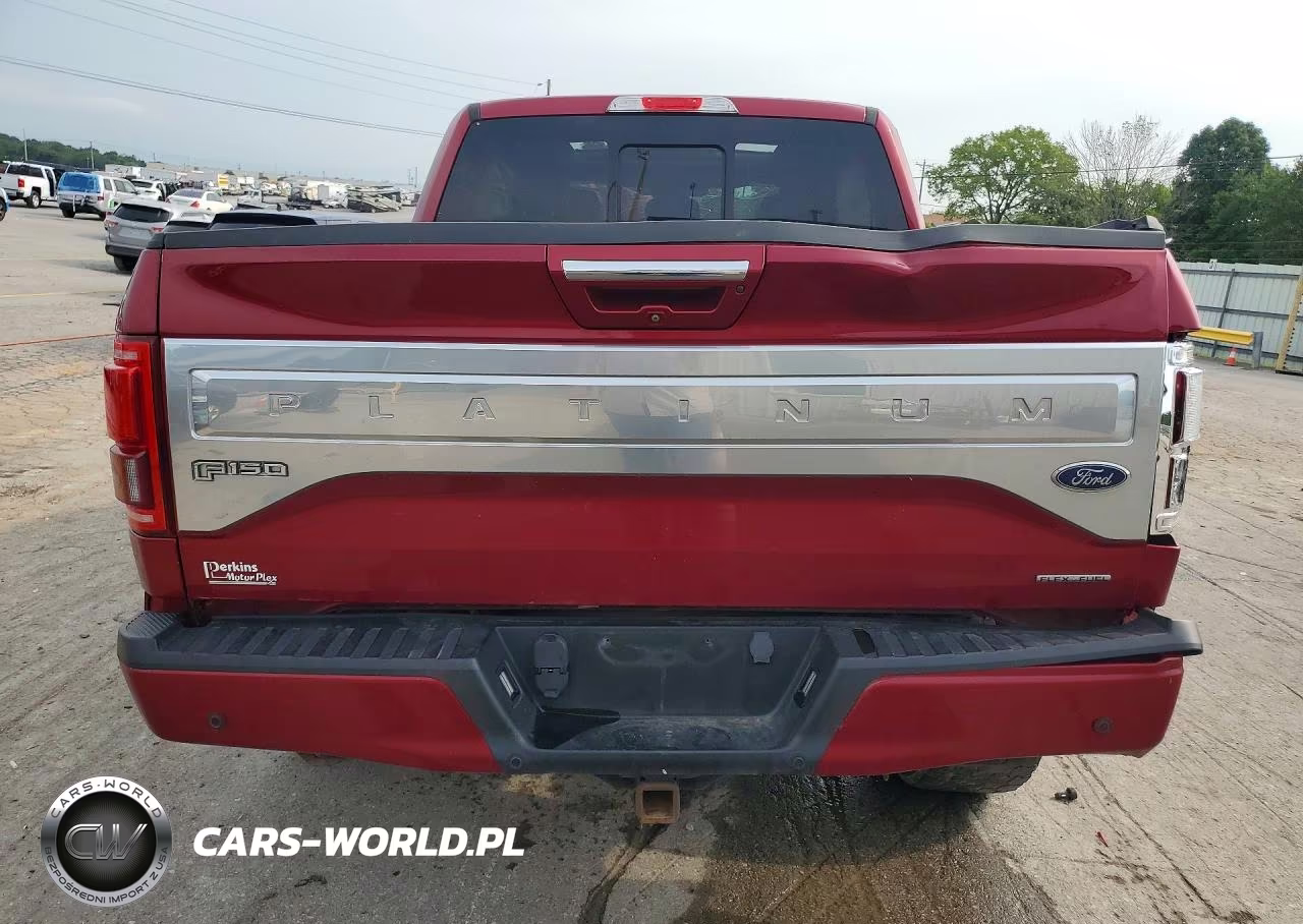 2016 Ford F150 Supercrew VIN:1FTEW1EFXGFB24341 - 6