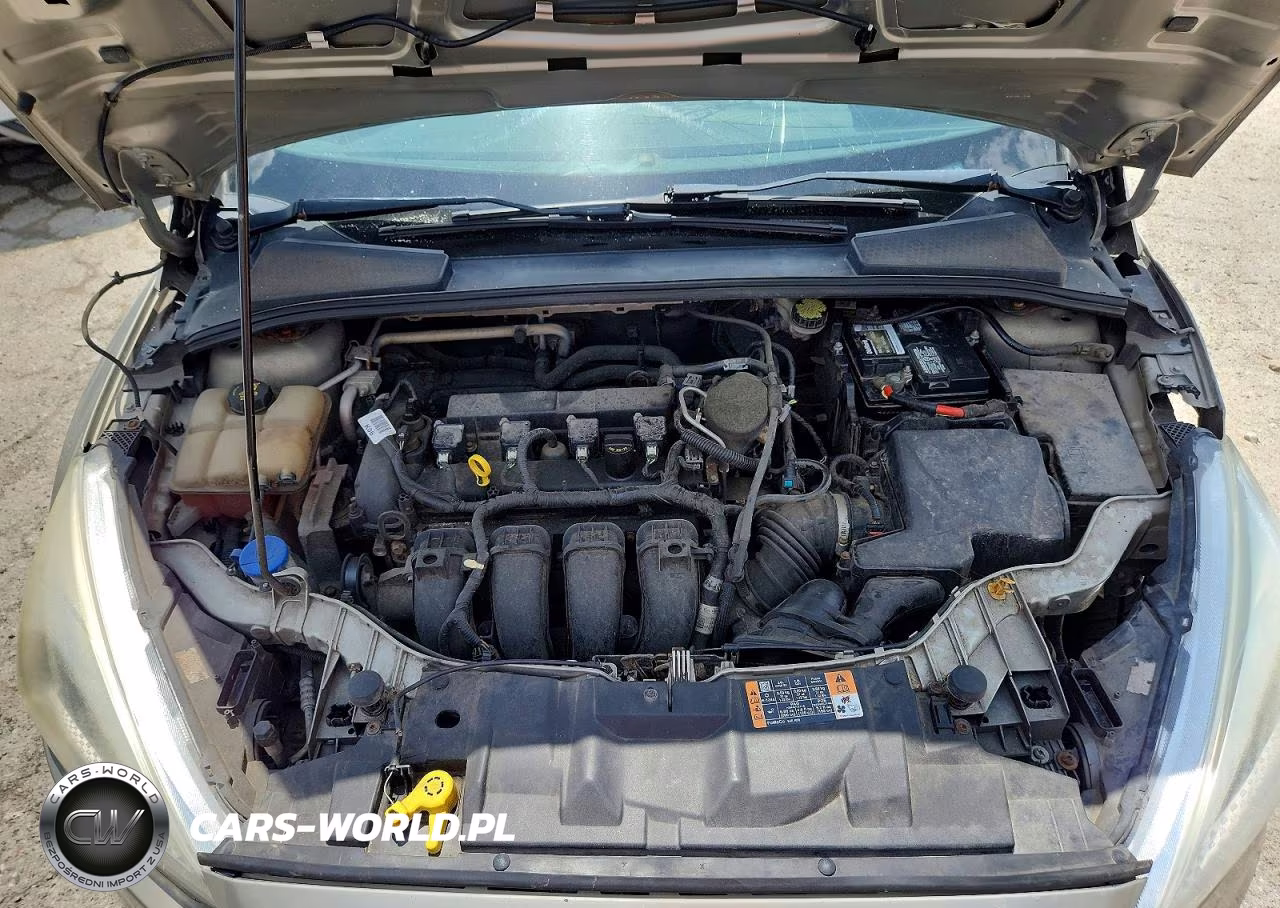 2016 Ford Focus VIN:1FADP3F24GL320394 - 11