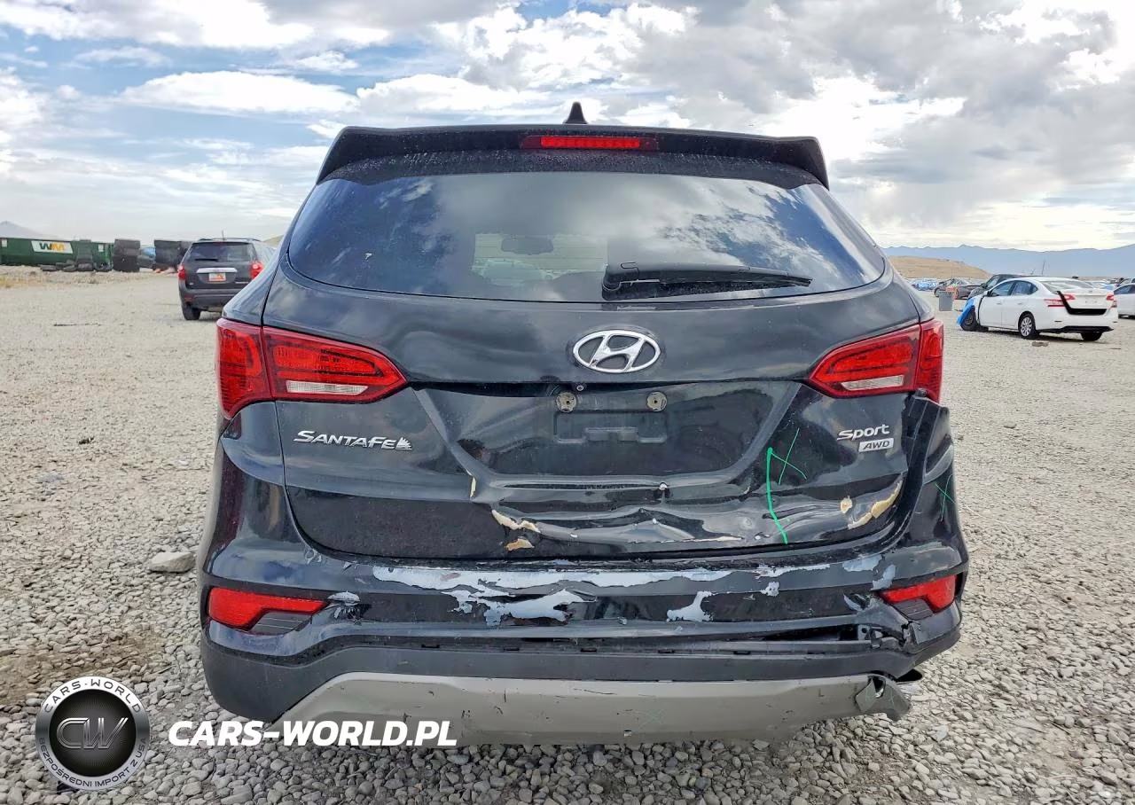 2017 Hyundai Santa Fe Sport 2.4L VIN:5XYZUDLB2HG385180 - 6