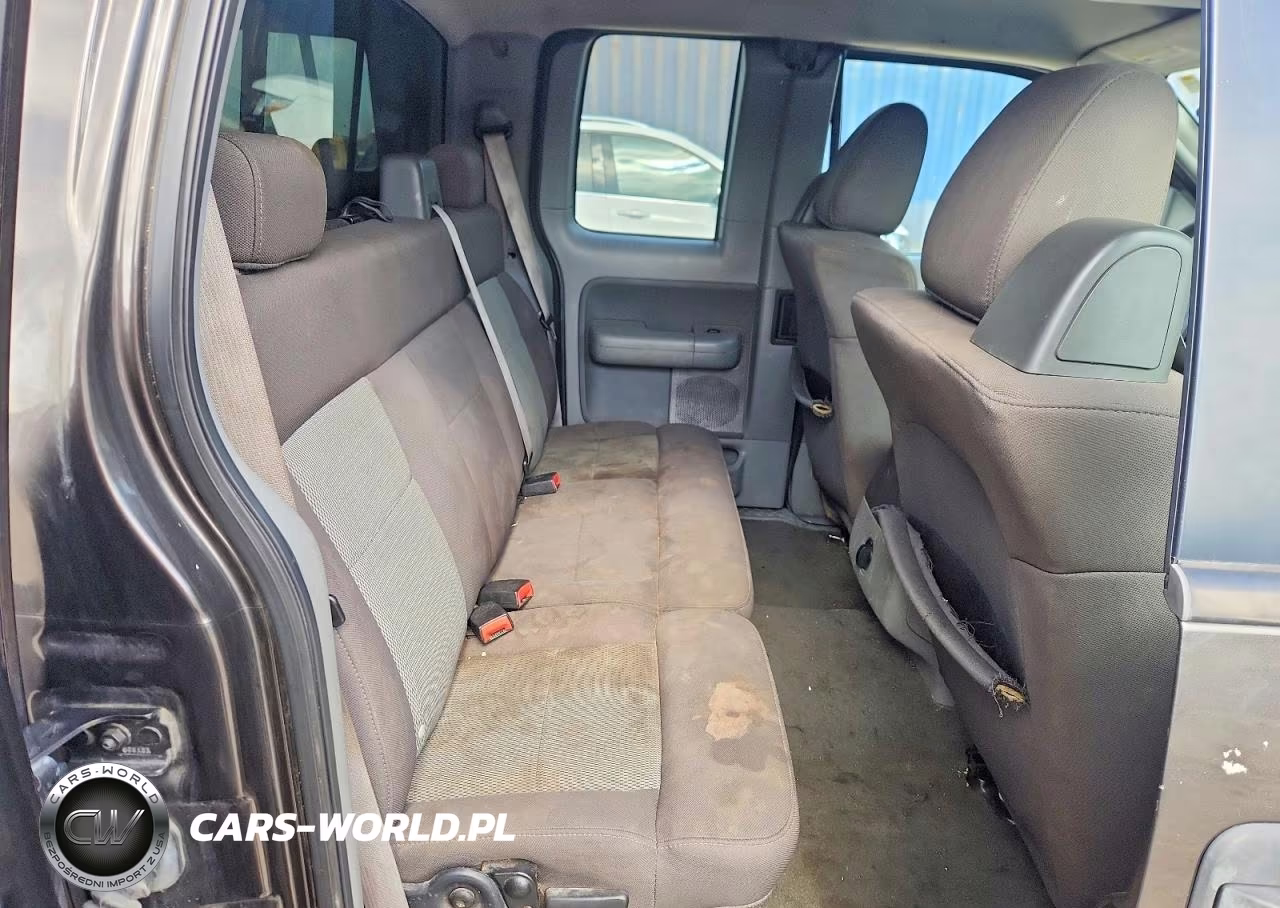 2006 Ford F150 VIN:1FTRX12W36NA01939 - 10