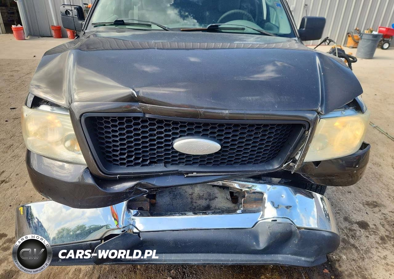 2006 Ford F150 VIN:1FTRX12W36NA01939 - 11