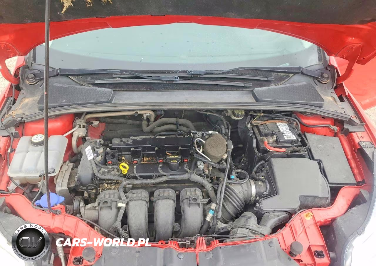 2013 Ford Focus Se VIN:1FADP3F2XDL362354 - 11