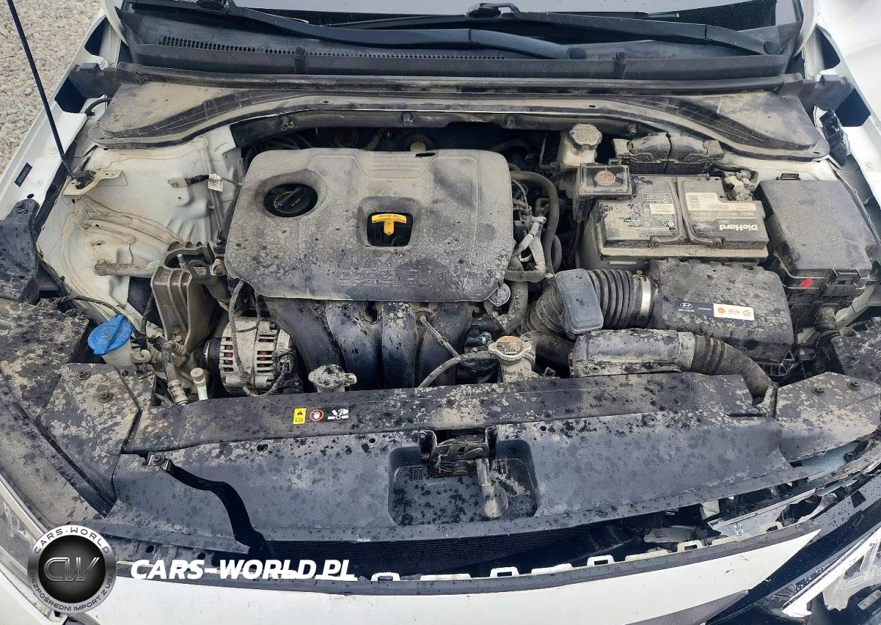 2019 Hyundai Elantra Se VIN:5NPD74LF8KH421751 - 11
